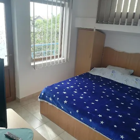 Гостевой дом Pensiunea Lyo *