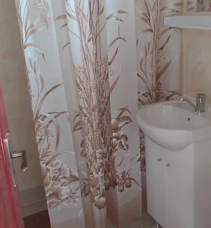 Гостевой дом Pensiunea Lyo *