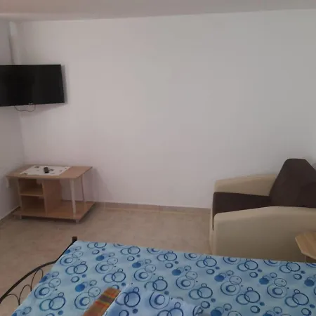 Pensiunea Lyo Гостевой дом *