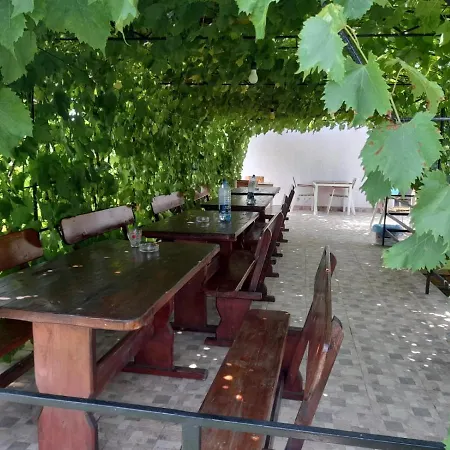 Pensiunea Lyo Доуэ-Май