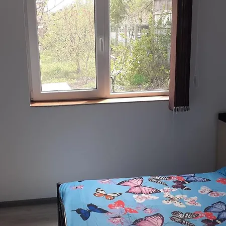 Vendégház Pensiunea Lyo *